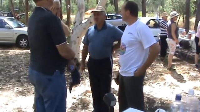 ДЕНЬ РАДИО 2012.mpg смотреть онлайн