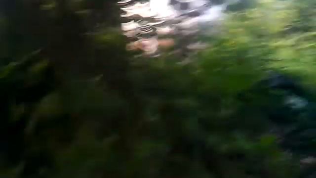 ((Чудаки на роликах 2)) смотреть онлайн