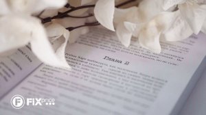 Художественные книги | FIX PRICE