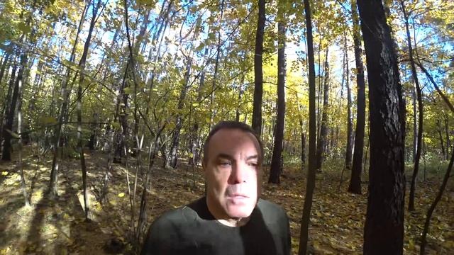 Истории об искусстве и смерти. смотреть онлайн