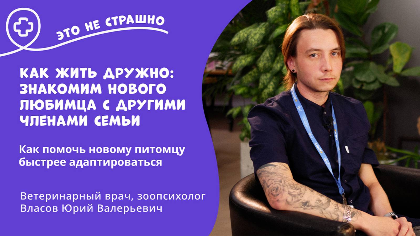 Это не страшно. Как жить дружно знакомим нового любимца с другими членами семьи