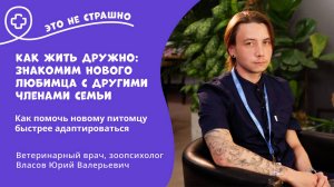 Это не страшно. Как жить дружно знакомим нового любимца с другими членами семьи