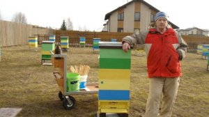 Весенняя ревизия пчел. Нужна или нет?