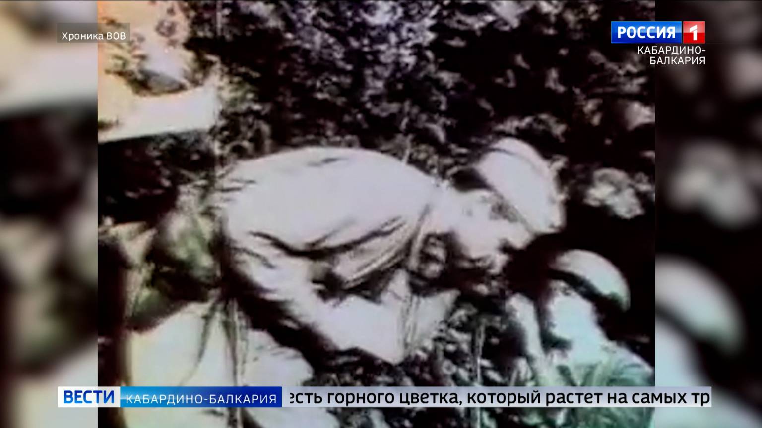 ГТРК «Кабардино-Балкария» запускает рубрику «Освобождение Кабардино-Балкарии от фашистов»