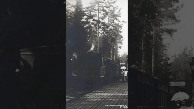 Сестрорецкая линия -  #железнодорожное
