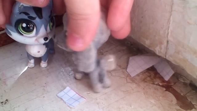 Каникулы с Беллой 1 сезон 3 серия смотреть онлайн