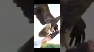 Салам тебе Кавказ!