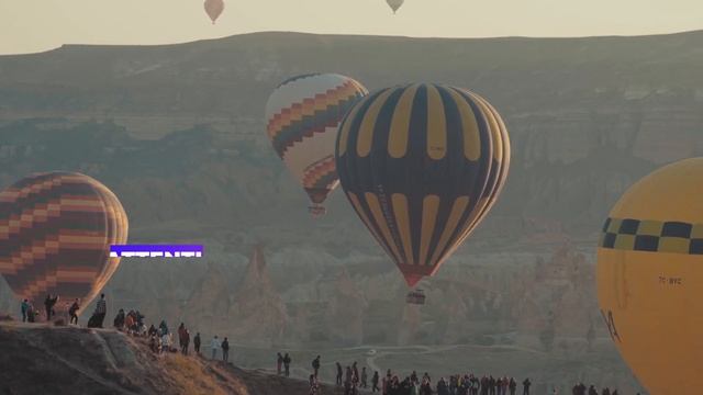 Info Bars Titles | After Effects, Premiere Pro, FCPX Template (Video Template) смотреть онлайн