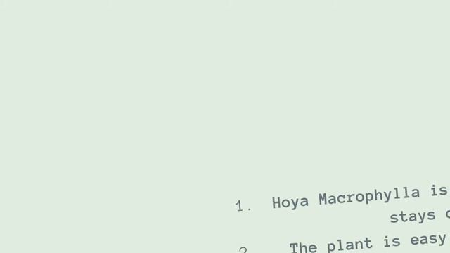 HOYA MACROPHYLLA CARE GUIDE смотреть онлайн
