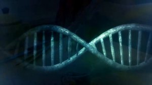 Гомункул - Правда или ложь?