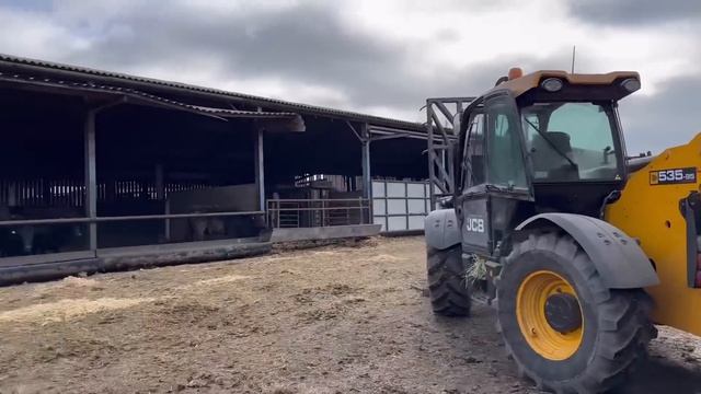 Solo Working can Be a Pain! Who’s Andy Visiting? смотреть онлайн