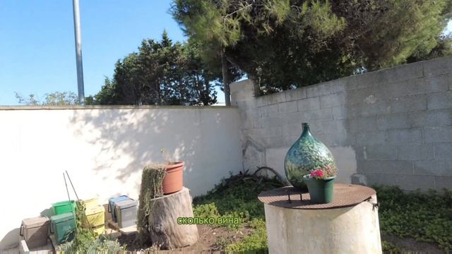 приехали провести отпуск из Швейцарии в Италию смотреть онлайн