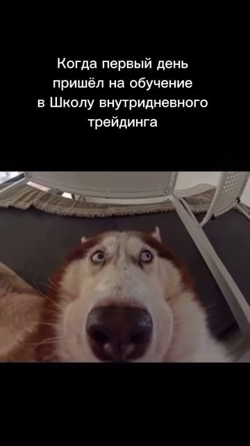 Когда первый день пришёл на обучение в Школу внутридневного трейдинга