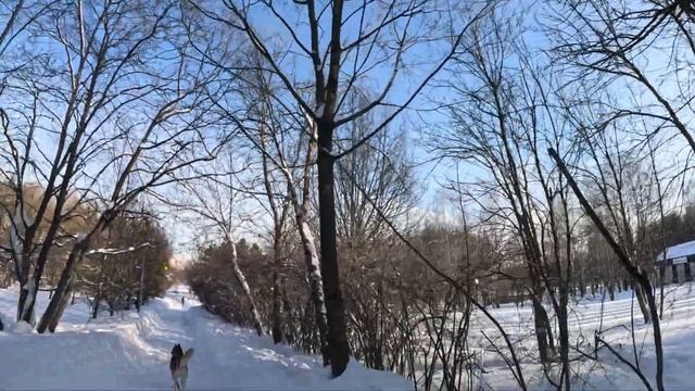 19 февраля 2024 г. смотреть онлайн