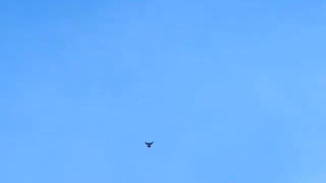 голуби 12 09 12 смотреть онлайн