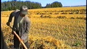 Уборка урожая с.Клепечиха 1998г