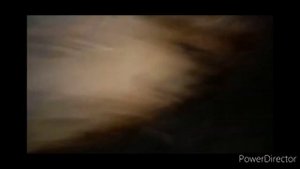 На бот-На бот (мем антону маньяку)