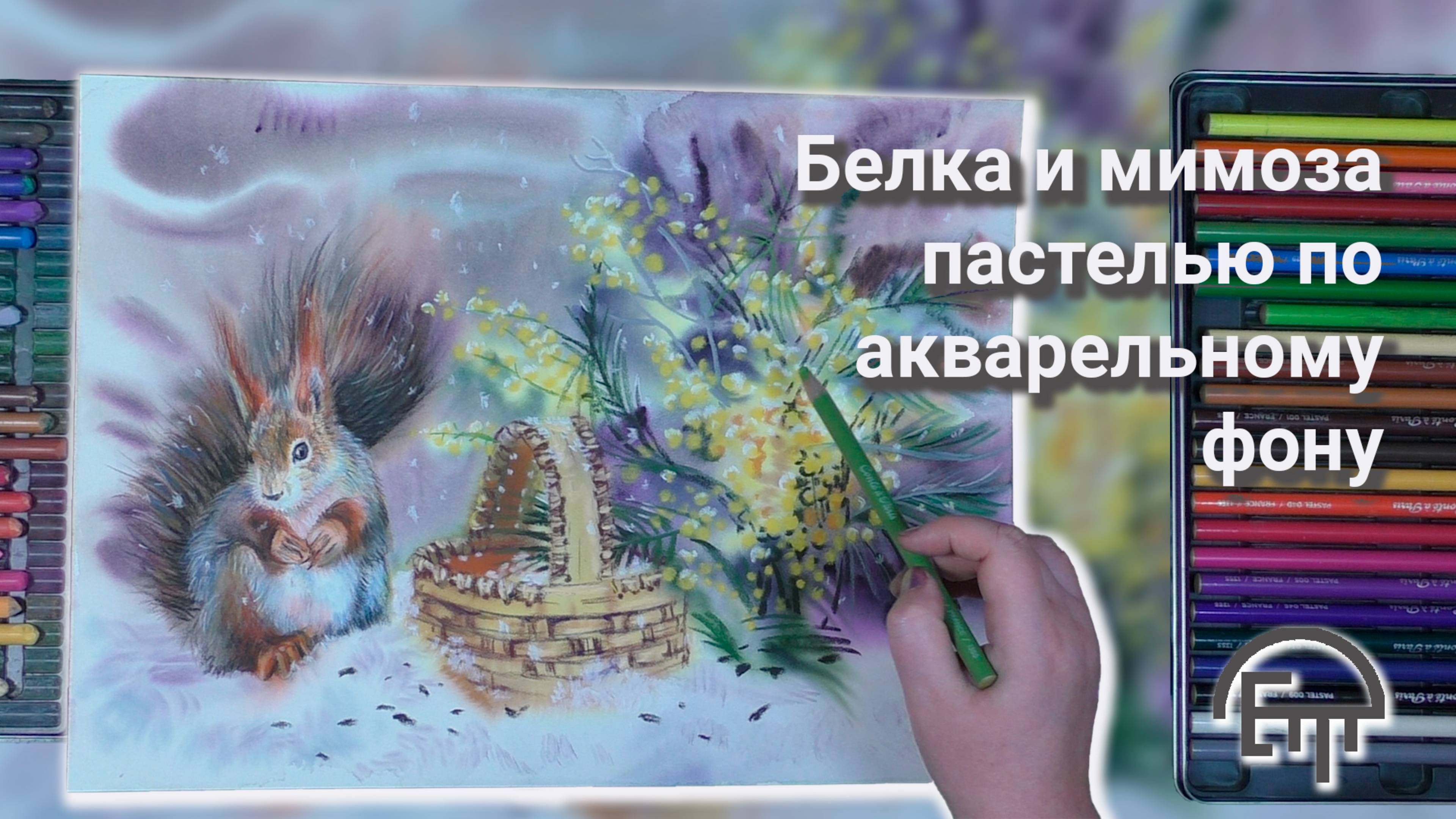Белка и мимоза пастелью на акварельном фоне