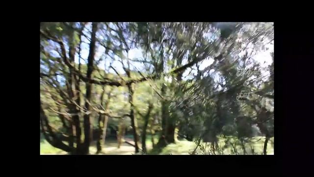 Mauritius - Food & Nature in its History Restaurant