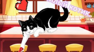 Милый котик