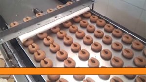 отсадочные машины для производства печенья и пряников