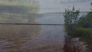 Июнь в Шеломово