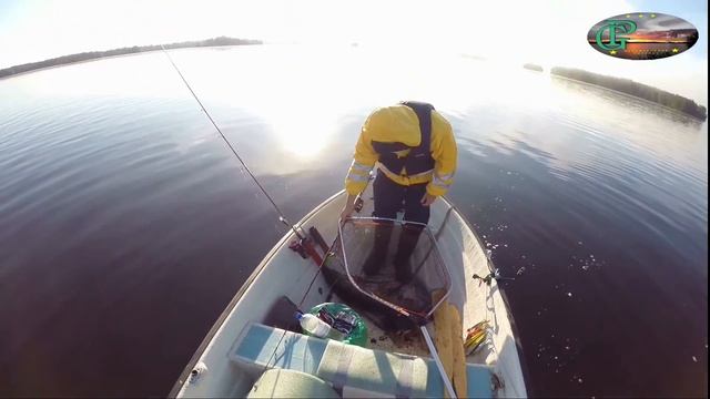 Отпуск в Швеции - Трофейная щука!!!