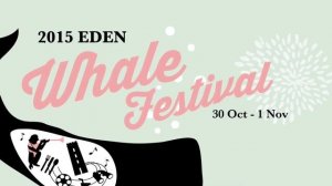 Humpback calf breach | 2015 | Sapphire Coast NSW