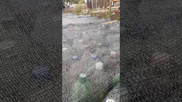 115. Ветер снимать не дает но черенкованию не помеха смотреть онлайн