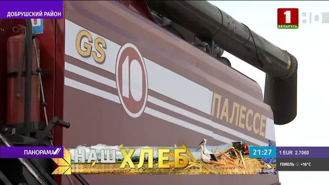 Сколько сможем собрать урожая? Панорама смотреть онлайн