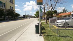 Обратная сторона капитализма в США: высокая преступность, нищета, разруха, алкоголизм