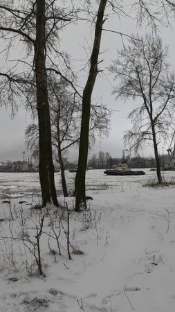 Вид на буксировщик. Канонерский парк.