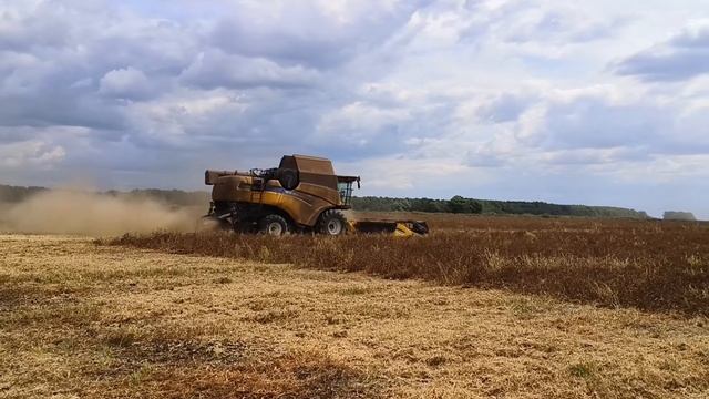 АЛЁШИНСКИЕ ПОЛЯ.УБОРКА УРОЖАЯ.#урожай #комбайн смотреть онлайн