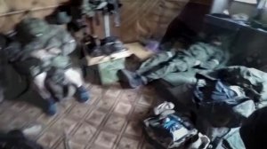 посвящается барсу 8