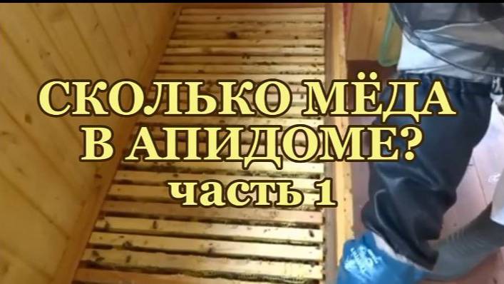 ПОРОДА ПЧЕЛ КАРНИКА В АПИДОМЕ. Часть 1 смотреть онлайн