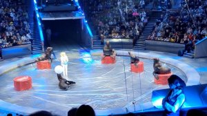 Большой Московский Цирк на проспекте Вернадского. Представление "БОЛЬШЕ МЕНЬШЕ"., Москва