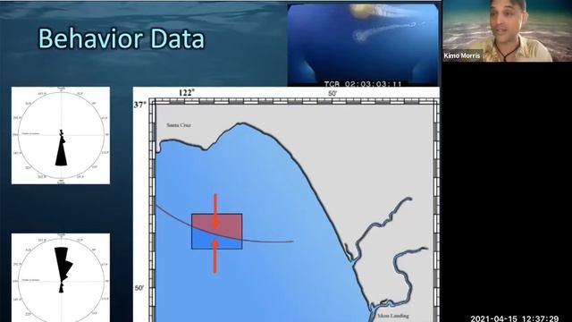 Adventures in Applied Aquatic Sciences - SAC STEM Month, April 15, 2021 смотреть онлайн
