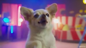 Короли цирка.