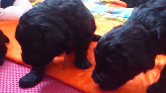 MOV_0254 смотреть онлайн