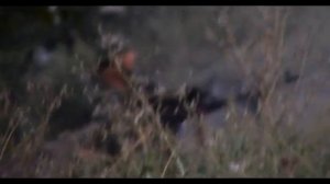 Бой на Вергунке Луганск (ГБР "БЭТМЭН" ДШРГ "РУСИЧ")