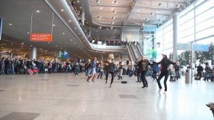 Флэшмоб в Домодедово смотреть всем танцы аэропорт