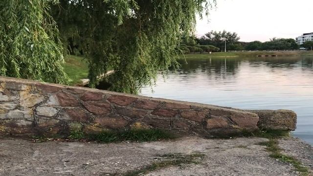 РАССЛАБЛЯЛАСЬ С КОЛЛЕГАМИ МУЖА, ПОКА ТОТ РАБОТАЛ. Поучительные истории из жизни. Любовные рассказы. смотреть онлайн