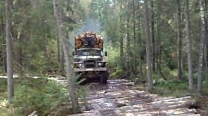 лежневка.AVI