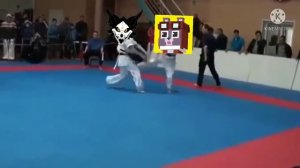 shooty cat vs cadaver skulldog                               (wingedwolf94) [meme]