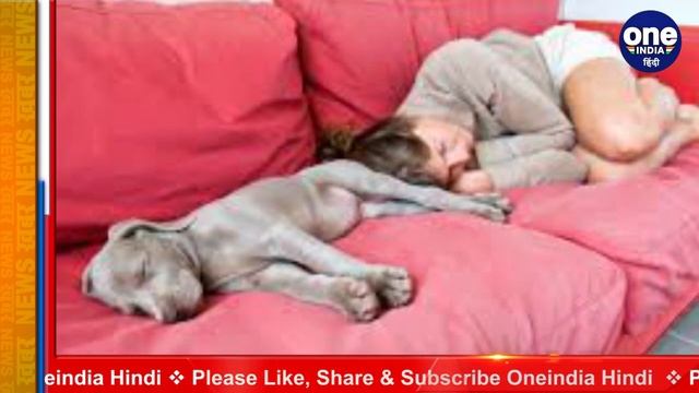 Dog के साथ महिला ने बानाए यौन संबंध, Court में हुई मामले की सुनवाई, जज बोले ये | वनइंडिया हिंदी смотреть онлайн