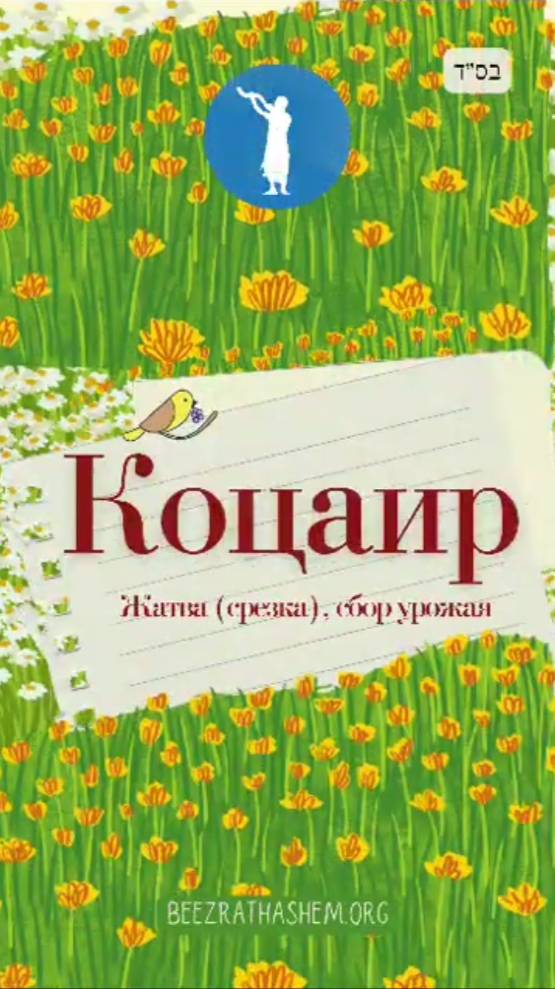 4️⃣ Коцаир 🌾 Жатва (срезка), сбор урожая (4)