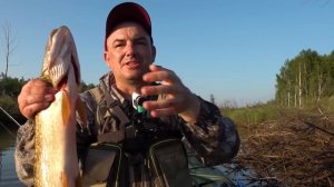 Редкий крупняк. ТАКОГО не всегда поймаешь. Порыбачил на славу!