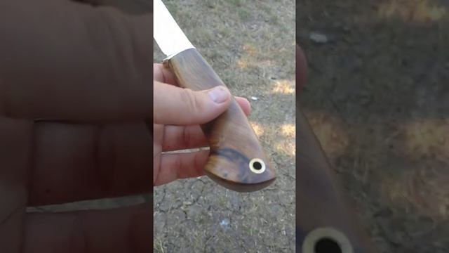 Нож "Гамаюн " из стали  Cromax и фисташкового дерева смотреть онлайн