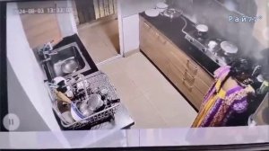 Наглая обезьяна проникла на кухню и попыталась раздеть повариху