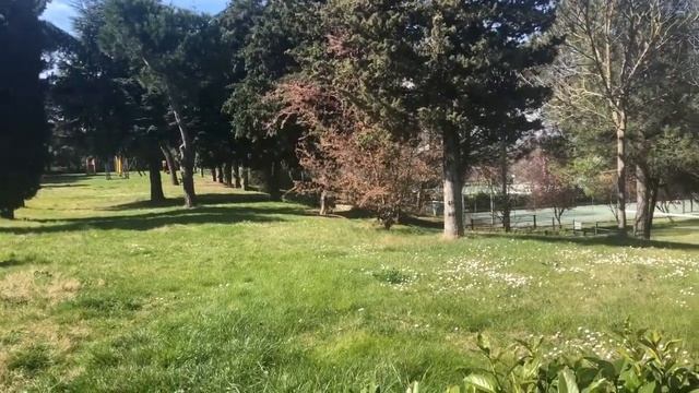 HOMEMADE SALT SCRUB||GHOST CITY||MOMMY DUTIES||FRESH JUICE смотреть онлайн